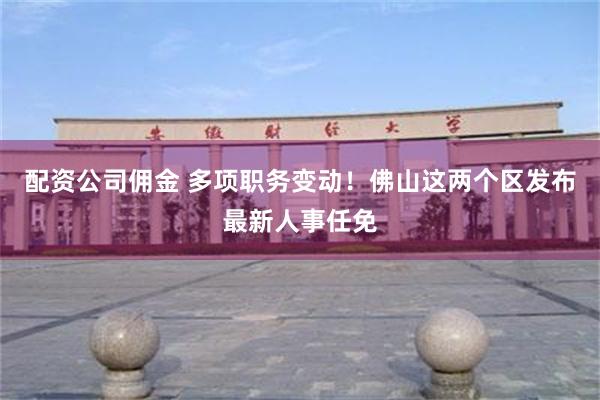 配资公司佣金 多项职务变动！佛山这两个区发布最新人事任免