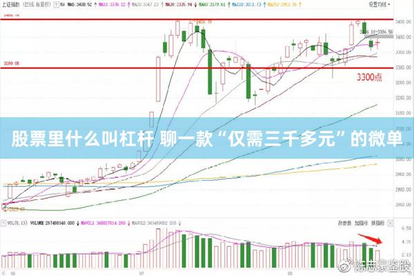 股票里什么叫杠杆 聊一款“仅需三千多元”的微单