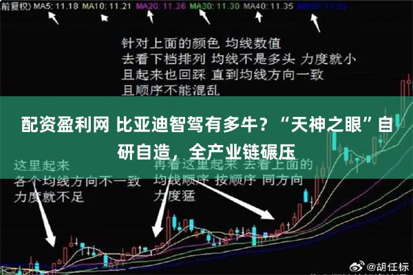 配资盈利网 比亚迪智驾有多牛？“天神之眼”自研自造，全产业链碾压