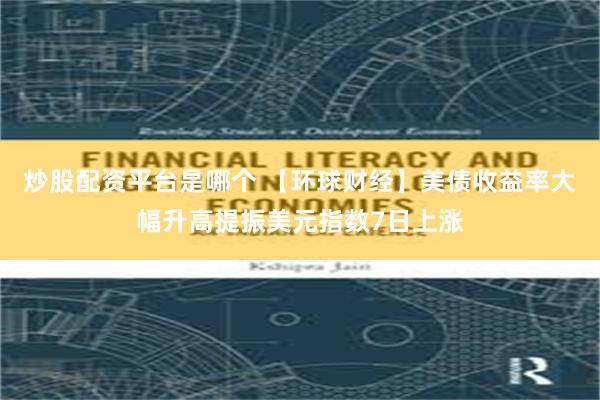 炒股配资平台是哪个 【环球财经】美债收益率大幅升高提振美元指数7日上涨