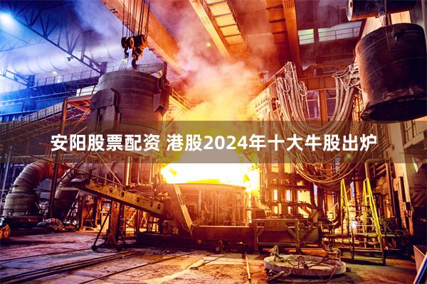 安阳股票配资 港股2024年十大牛股出炉