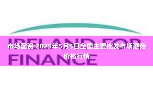 市场配资 2025年5月5日全国主要批发市场蘑菇价格行情