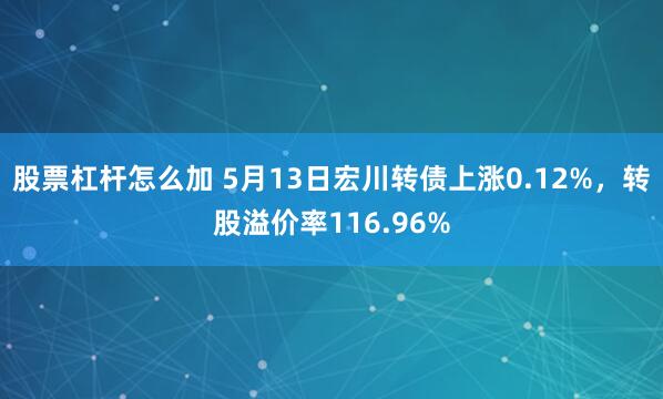 股票杠杆怎么加 5月13日宏川转债上涨0.12%，转股溢价率116.96%