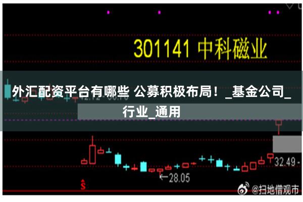 外汇配资平台有哪些 公募积极布局！_基金公司_行业_通用