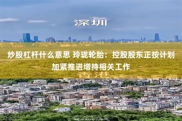 炒股杠杆什么意思 玲珑轮胎：控股股东正按计划加紧推进增持相关工作