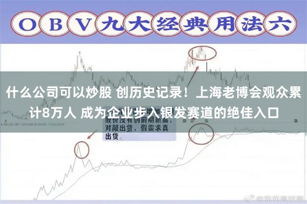 什么公司可以炒股 创历史记录！上海老博会观众累计8万人 成为企业步入银发赛道的绝佳入口