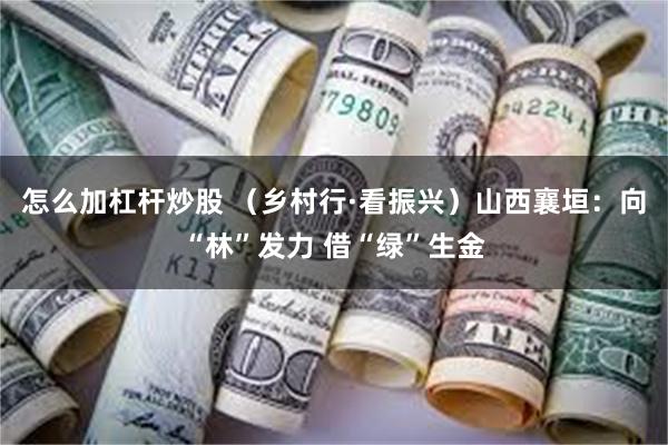 怎么加杠杆炒股 （乡村行·看振兴）山西襄垣：向“林”发力 借“绿”生金