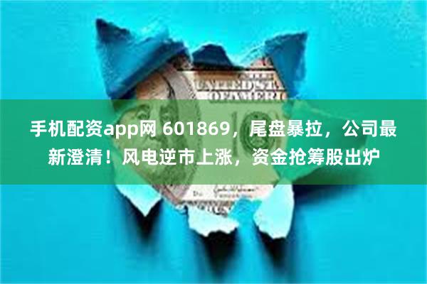 手机配资app网 601869，尾盘暴拉，公司最新澄清！风电逆市上涨，资金抢筹股出炉