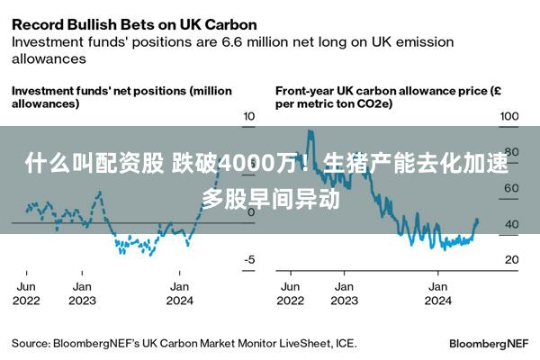 什么叫配资股 跌破4000万!生猪产能去化加速 多股早间异动