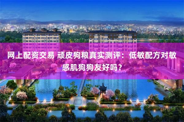 网上配资交易 顽皮狗粮真实测评:低敏配方对敏感肌狗狗友好吗?